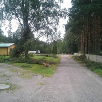 Myrskytuhoja Nahkelassa. Satoja ... Myrskytuhoja Nahkelassa. Satoja ...